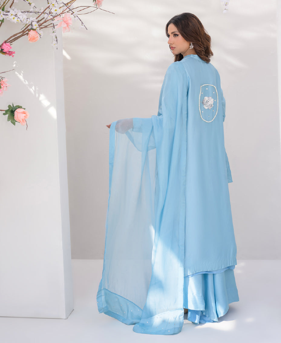 Blue raw silk  women ensemble pearl embroidery on back with sheer silk duppatta